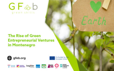 The Rise of Green Entrepreneurial Ventures in Montenegro