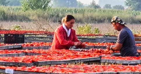 The Use of Green Economy Techniques in Efficiency and Quality on Production